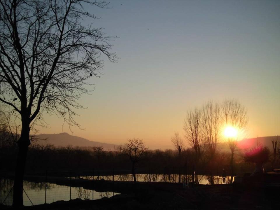 La Fontanella Hotel Montecchia di Crosara Buitenkant foto